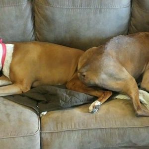 Meet your Posher, Regina